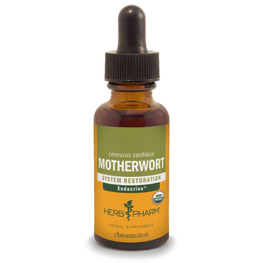 Motherwort - My Village Green